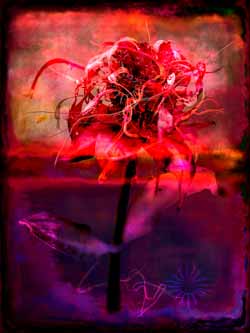 2019-10-07 Indianernessel-04b-03 60x80cm Tinte auf Hahnemühlepapier